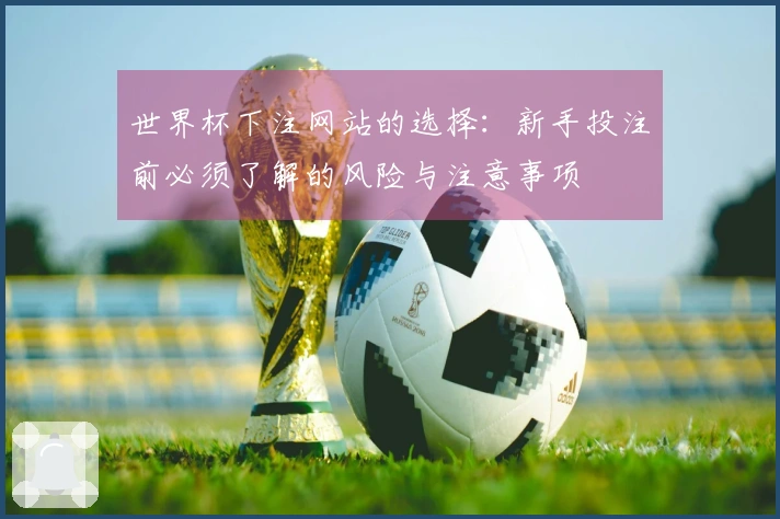 世界杯下注网站的选择：新手投注前必须了解的风险与注意事项