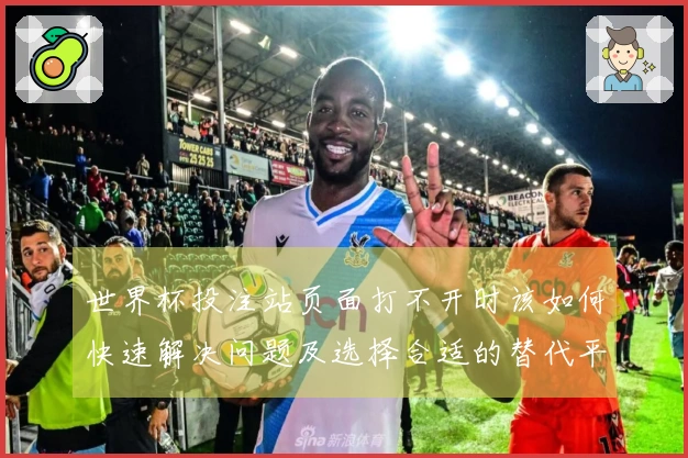 世界杯投注站页面打不开时该如何快速解决问题及选择合适的替代平台