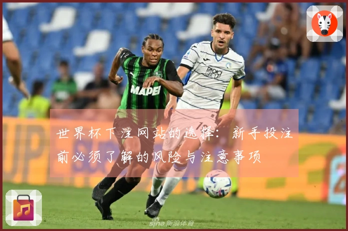 世界杯下注网站的选择：新手投注前必须了解的风险与注意事项