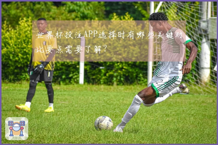 世界杯投注APP选择时有哪些关键对比要点需要了解？